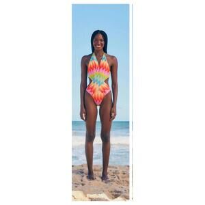 FARM RIO Chevron One-piece Swimsuit In Light Chevron Size Large